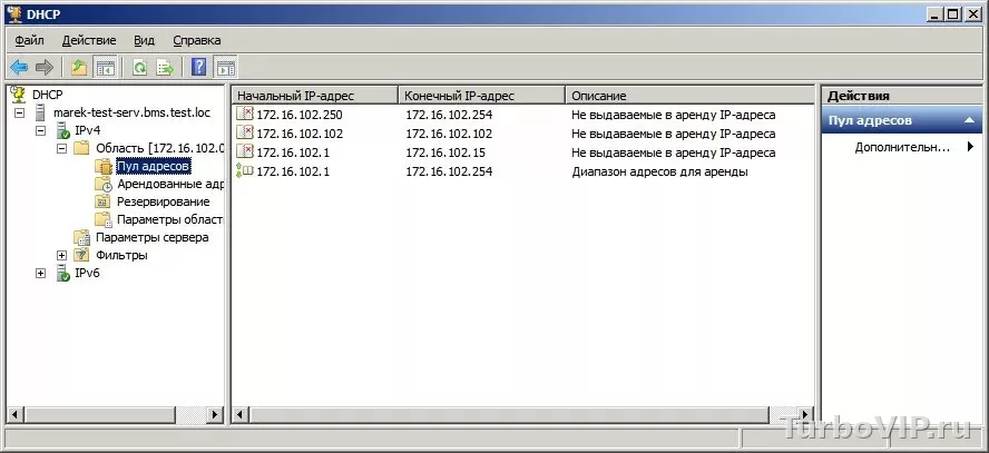 DHCP не выдает IP-адрес: как вернуть интернет на ПК, телефоне и роутере
